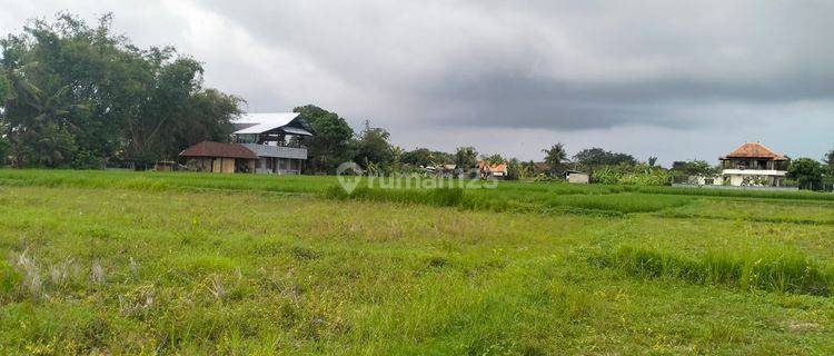 Dijual Tanah Kavling di Nyambu Dkt Kaba Kaba Tabanan Bali 1