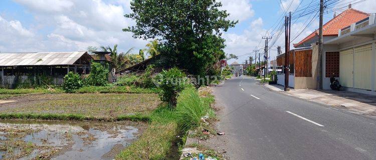 For rent 1800 M2 of land in the Mengwi Badung Bali area  1