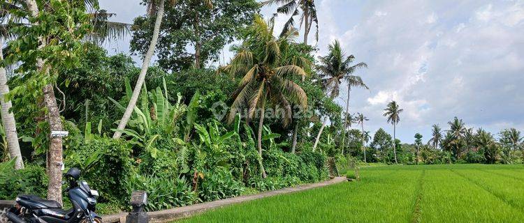 Tanah View Sawah 740 M2 Dkt Pantai Kedungu,belalang Tabanan 1