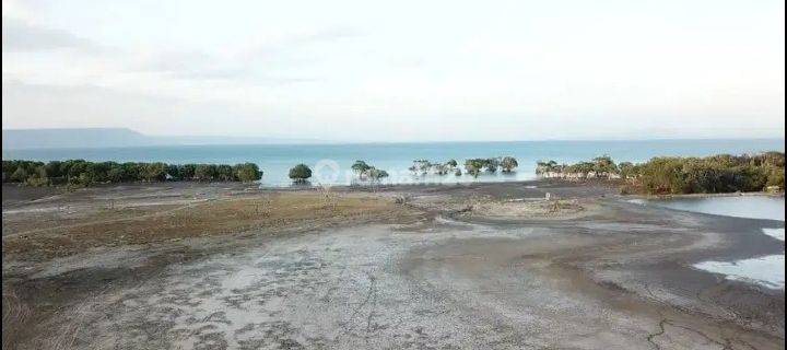 Dijual Tanah Tambak Los Pantai 58 Hektare Moyohilir Sumbawa 1