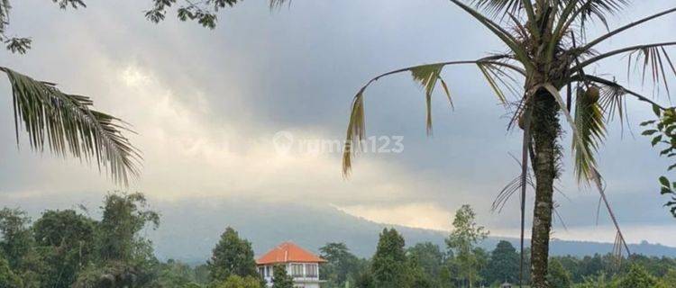 Dijual Tanah di Jatiluwih Penebel Tabanan View Sawah Gunung Laut 1