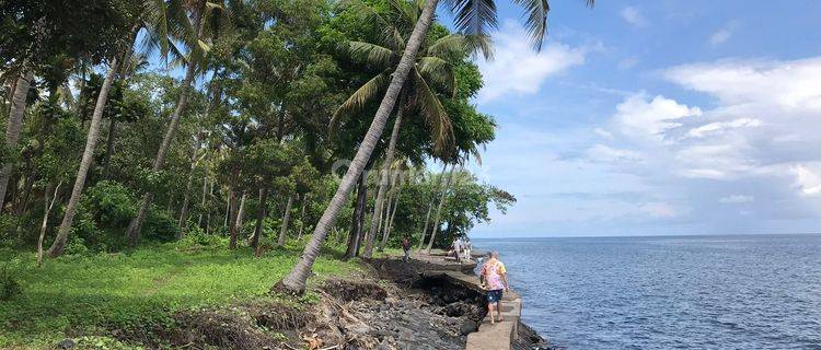 Dijual Tanah Los Pantai 1,6 Hektare Tejakula Buleleng Bali 1