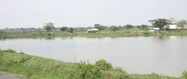 Lahan Industri Dan Tambak Nol Jalan Sidayu Gresik Jawa Timur 1