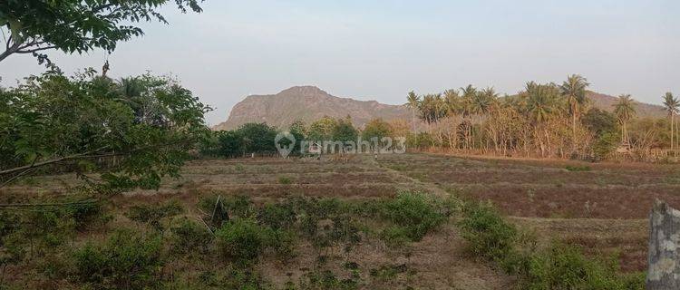 Tanah di Sekongkang Sumbawa Barat Dkt Perumahan Amman Mineral 1