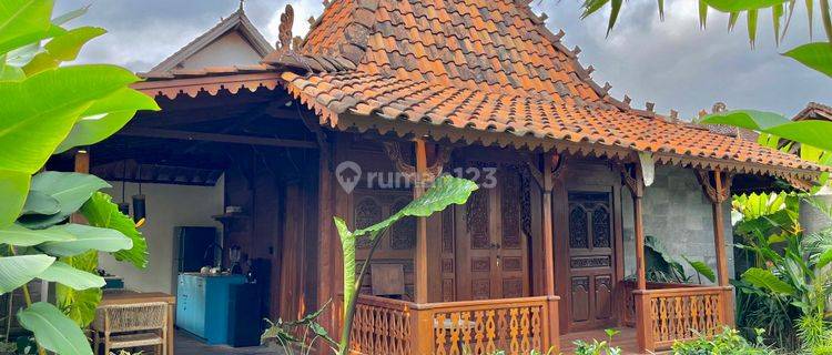 Dijual Villa di Ubud Singakerta Gianyar Bali 1