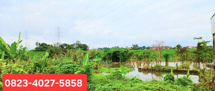 For rent 800 M2 of land on the Mengwi Badung Bali Ship 1