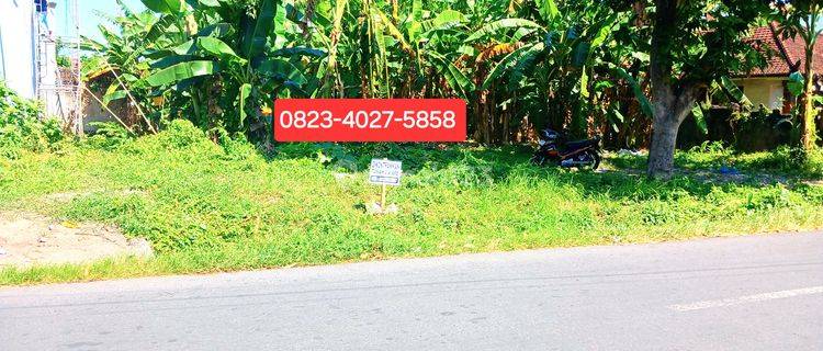 For rent 240 m2 land in Gatsu Tengah jl Belalu Denpasar Bali 1