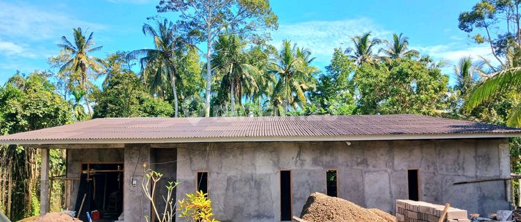 Rumah Leashold Di Selemadeg Tabanan Bali 1