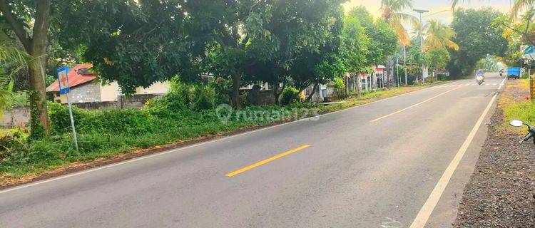 Tanah 1 Hektar Jl Seririt Singaraja Gerokgak Buleleng Bali 1