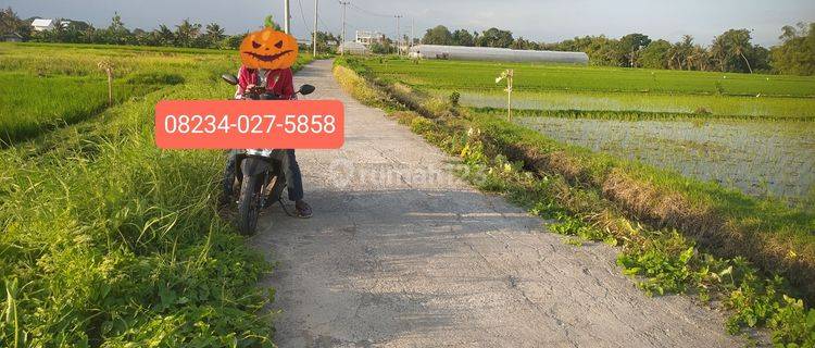 Dijual Tanah 1900m2 Dkt Pantai Kedungu Belalang Tabanan  1