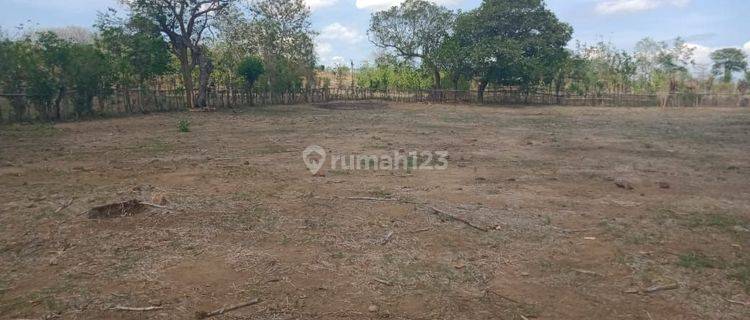 Dijual Tanah Di Sumbawa Dkt Pusat Kota  1