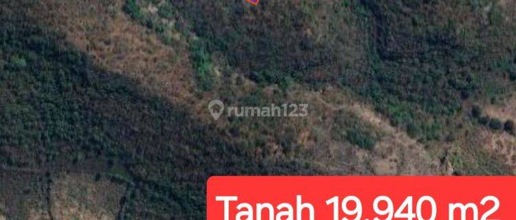 Dijual Tanah 19940 M2 Di Labuhan Kuris Lape Sumbawa  1