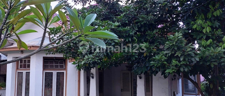 Jual Tanah Bonus Rumah Halaman Luas Rindang di Taman Sompok Semarang 1