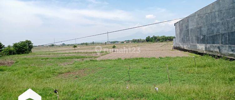 Tanah Bentuk Ngantong Kawasan Gudang Dekat Pusat Kota Kudus 1