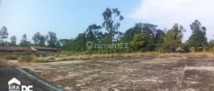 Tanah Padat Siap Bangun di Jalan Pantura Kademangan Batang 1