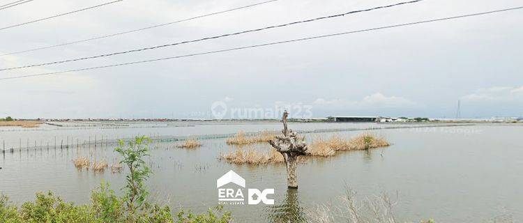 Tanah Tambak 1 Hektar Kawasan Industri Sayung Demak 1