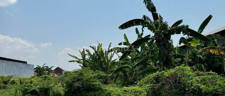 Tanah Shm 1,2 Ha Siap Bangun Dekat Pantura Slamet Riyadi Pemalang 1