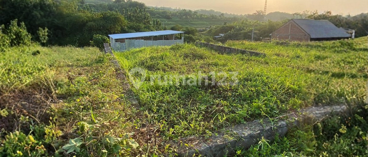 Jual Tanah Cocok untuk Gudang Harga Dibawah NJOP di Wonosari Ngaliyan Semarang 1