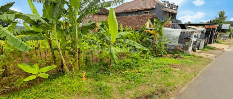 Tanah Siap Bangun 2 Jt per meter di Kedungpane Untung Suropati Mijen 1