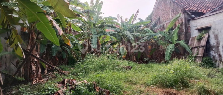 Sewa Tanah Siap Bangun Cocok untuk Segala Usaha di Pedurungan Semarang 1