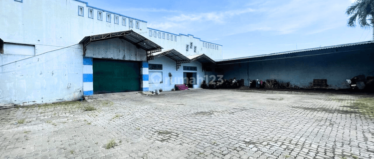 Gudang Ada Kantor Luas Cocok Untuk Logistik di Urip Sumoharjo Pekalongan 1