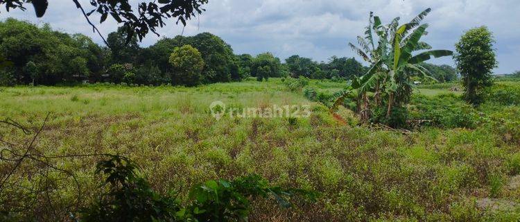 Dijual Tanah Luas di Ragemanunggal Setu Bekasi  1