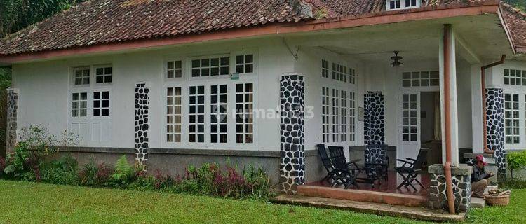 Tanah Dan Villa Harga Murah Di Puncak Pass 1