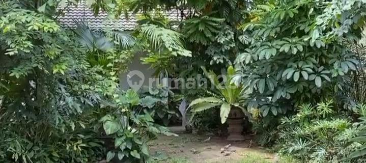 Teuku Umar Street, Menteng 1