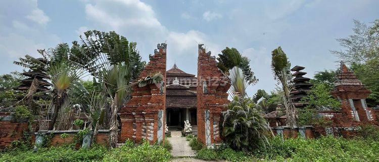 Tanah Murah di Studio Alam Genta Bogor Timur. Jl Kampung Sodong, Klapanunggal, Bogor 1