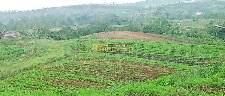 Dijual Tanah Kosong Desa Ajinembah Kabupaten Karo 1