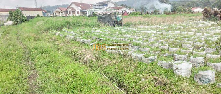 Dijual Tanah Kosong Daerah Berastagi Jl. Tongkoh Tugu Jeruk  1