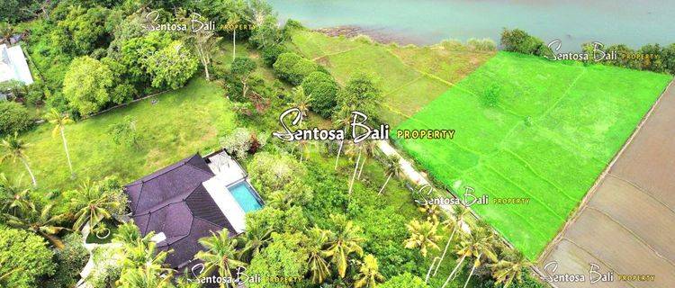 Tanah Dekat Medewi Pekutatan Jembrana Bali View Sawah Dan Laut 1