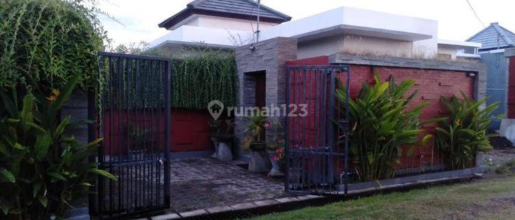 Minimalis Villa 100m² Dekat Lovina Buleleng Bali Utara 1