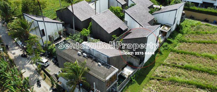 Complex 12 Villa In Nyanyi Beraban Tabanan Bali Rice Field View 1