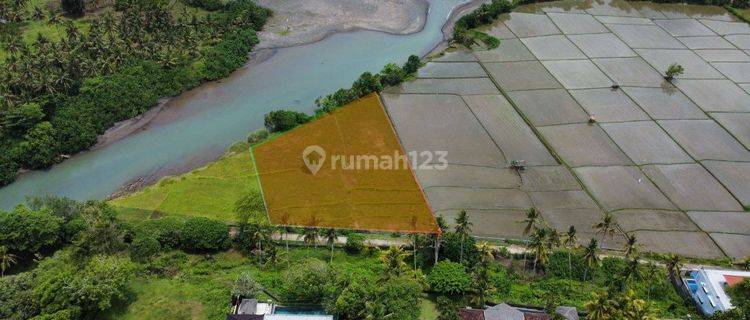 Ocean View Land Sale 5150m2 Dekat Medewi Pekutatan Jembrana 1