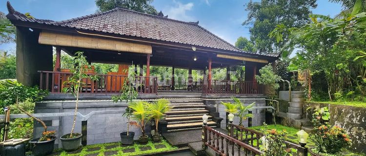 Luxury villa 3600sqm di Apuan Baturiti Tabanan  1