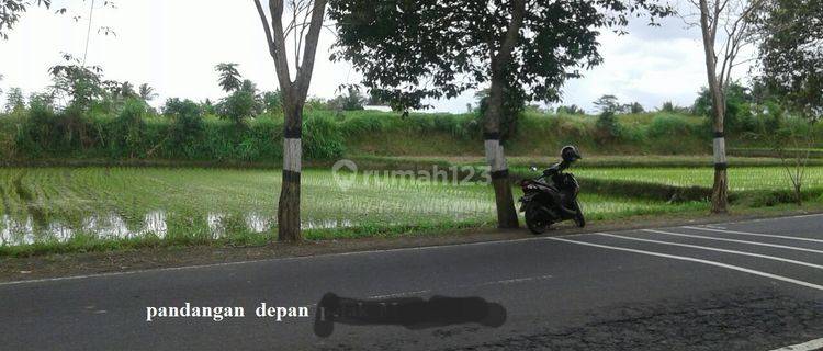 Cheap Strategic Land on Highway in Badung Bali Mixed Commercial & Residential Zone 1