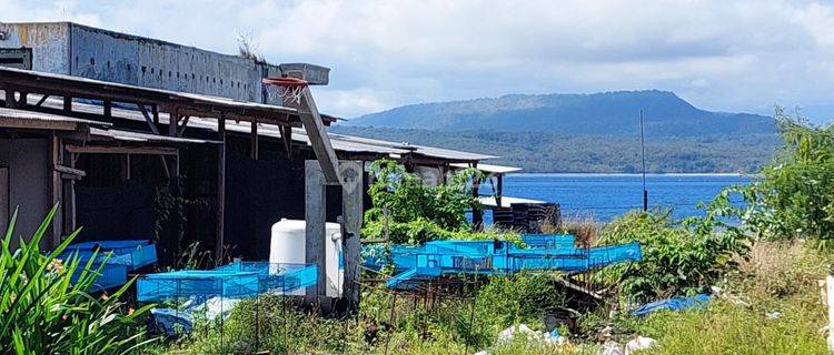 Tanah Jl. Raya Situbondo Banyuwangi Lokasi Strategis 1