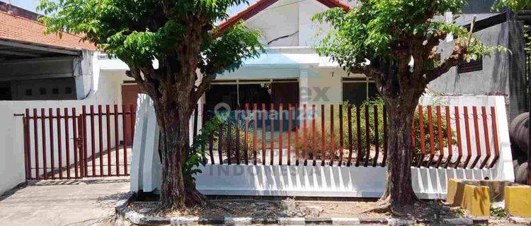 Jual Rumah Darmo Permai Selatan 1lt 1