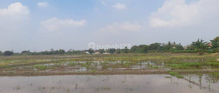 Tanah Murah di Bekasi, Shm, Cocok Untuk Perumahan Dan Pemukiman 32499m2 1