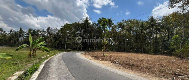 Pekarangan Sleman, View Persawahan, Akad di Notaris 1