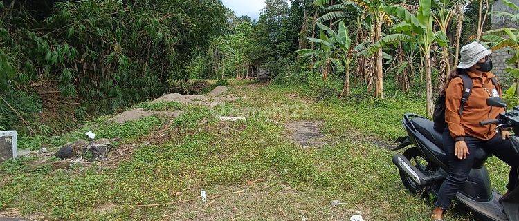 Tanah Pekarangan di Candi Plaosan Dekat Exit Toll Jl. Solo 1