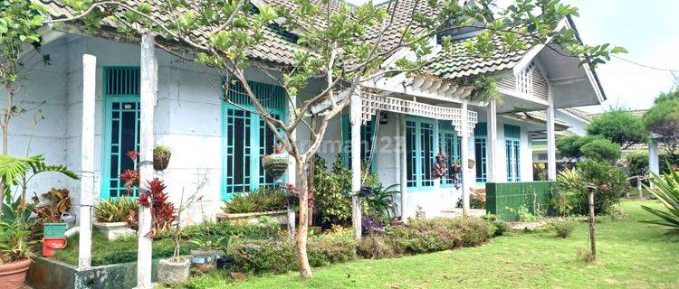 Villa Palm Garden Luas 527m Type 4KT Cipanas Cianjur  1