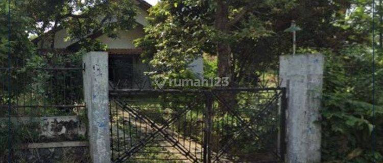 DIJUAL CEPAT BU !!! TANAH MURAH SIAP BANGUN
Purwakarta - Jawa Barat
 1