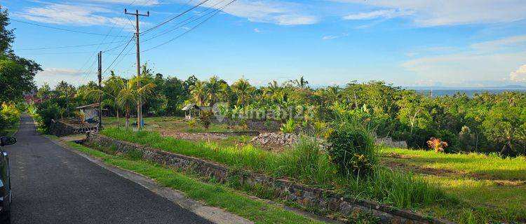 Tanah investasi area jembrana negara jalan sawe rangsasa  1