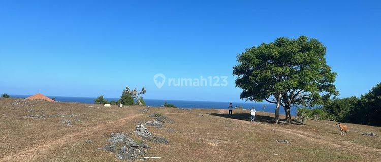 Tanah loss tebing di pantai pandawa kuta selatan jimbaran 1