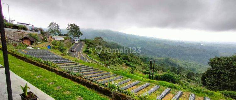 Coffee restaurant strawberry garden land in Bedugul Baturiti view 1