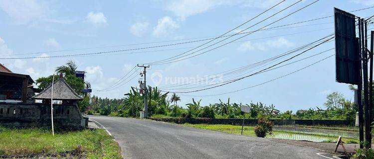 Land for sale on Pangkung Tibah Beach, Tabanan, near Kedungu 1