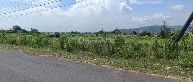 Jual Tanah Dekat Pantai Kusamba Klungkung Bali 1