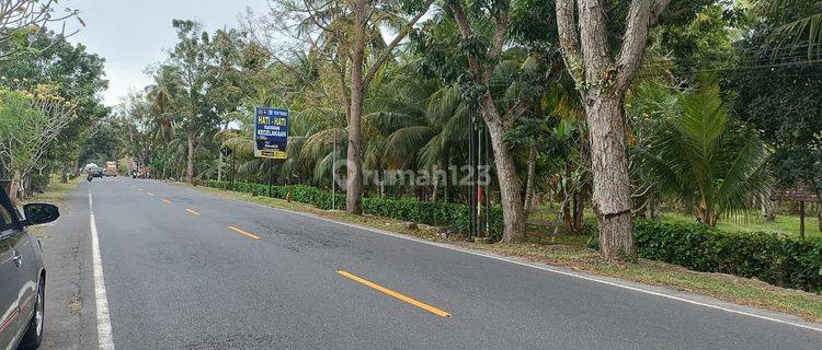 Tanah Murah Pinggir Jalan Denpasar Gilimanuk Pekutatan Jembrana 1